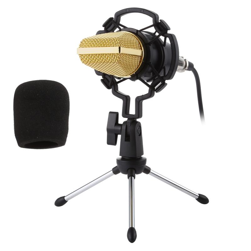 BM-700 USB Professional Condenser Microphone  |  Microphones Computer Accessories Microphones